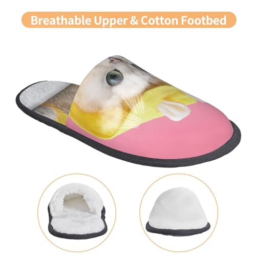 A Funny Cat Print House Slippers For Women And Men,Soft Slippers With Memory Foam,Non-Slip Indoor Home Shoes3
