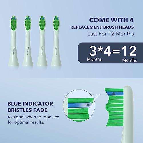 Image of ARISSON Sonic Electric Toothbrush for Adults and Kids, 40,000 VPM Power Toothbrush, 1.5H Fast Charge Ultrasonic Electric Toothbrushes with 2 Minutes Smart Timer, 1.6 Oz Travel Toothbrush, Powder Blue