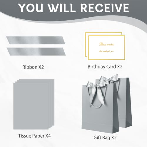Image of JMANNI Gift Bag, 2PCS Gift Bags Large with Ribbon and 2 Greeting Cards 4 Tissue Paper, Portable Paper Gift Bag with Handles, Birthday Gift Bags,Present Bags for Wedding Party Mothers Day(Silver)