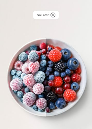 CREATE / FRIDGE STUDIO CROSS DOOR 503 / Frigorífico estilo Cross door 4 puertas 503L arena / 85.3 x 69.8 x 177.5cm / No frost. Care+. modo vacaciones. antibacterias. touch electronic. 170W - imagen 8