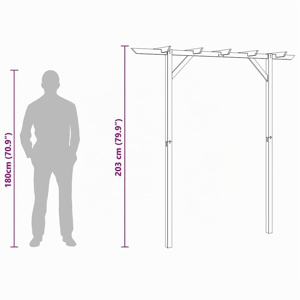 vidaXL Gartenlaube 200 x 40 x 205 cm Holz