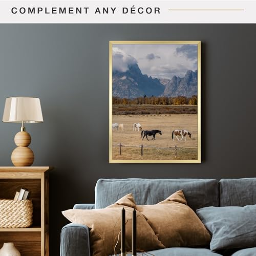 Image of MCS Foundation 20x27 Poster Frame Traditional Brass, Vertical & Horizontal Wall Hanging Large Picture Frame for Photos, Posters & Art Prints (1-Pack)