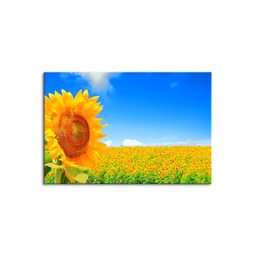 ?�C���e���A ������ �ؘg�t���̊����i �Ђ܂�� �� �ԑ� �� �t�����[ �A�� ���z ���l �S�b�z �� �� ���| ���n �e�����[�N �w�i �����[�g���[�N �傫�� �� �z �ډB�� ���� ���� �Ԏd�؂�? (50x70cm�i20x28in�j,A)