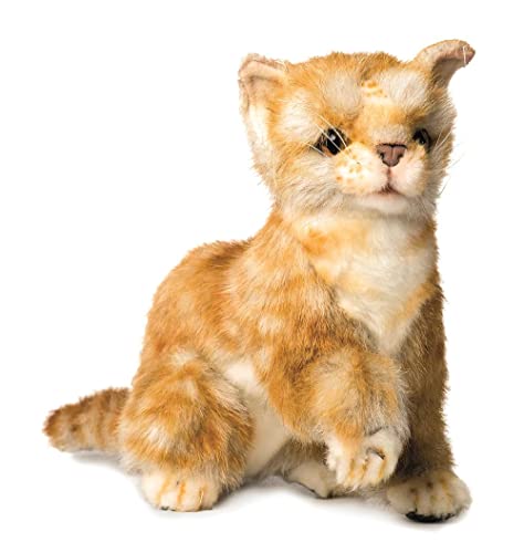 Hansa Ginger Kitten Plush