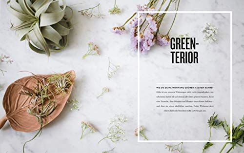 Insta Interior: Einfach, schnell & kreativ einrichten – Mit Tipps, DIYs & House Hacks und Hometours - 2