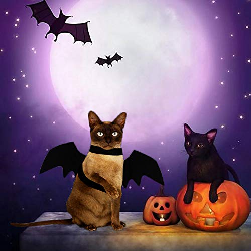 Brocarp Cat Bat Wings, Halloween Costumes Cat Clothes, Pet Apparel for Small Cats, Cute Kitten Costume Dress up Accessories for Festival Party Cosplay Decoration (Black)