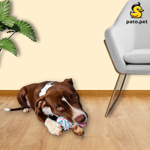 Kit 4 Cordas 100% Algodão para Pets PATO.PET - Brinquedo Mordedor Resistente Cão, Brincadeira Intera