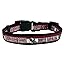 South Carolina Gamecocks