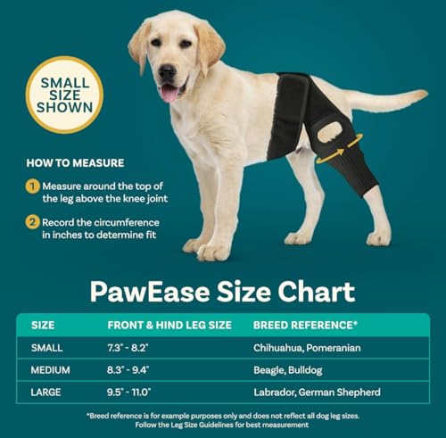 QYJLOFMVE Genouillère pour Chien, Support pour Grands et Petits Chiens Souffrant de LCA, CCL, Blessures au Ligament croisé, Luxation de la Rotule ou Arthrose pour Les Pattes Arrière et – vue 3