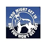 You Might Get in But You Won't Get Out | German Shepherd Shiloh Shepherd Dog Vinyl Window Decal Sticker