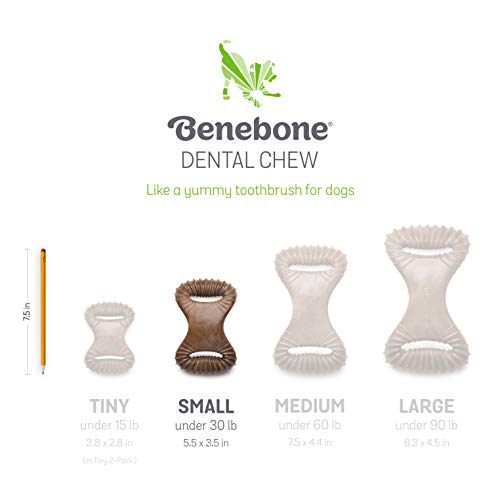 Benebone Dental Durable Dog Chew Toy For Aggressive Chewers, Real Peanut, Made In Usa, Small #TOP5