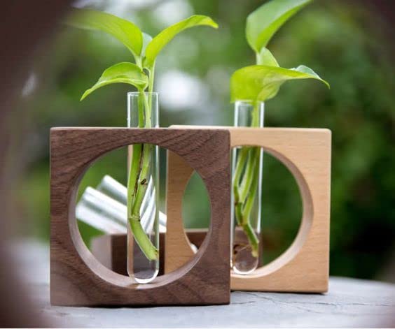 See full amazon price history chart for Wooden Cave Test Tube Wooden Stand for Indoor Gardening, Home, livingroom, Study Table, Window Decor(Plant not Include) (1) Wooden Cave Test Tube Wooden Stand for Indoor Gardening, Home, livingroom, Study Table, Window Decor(Plant not Include) (1) (B0BPMQRKMV) Amazon Price History, Amazon Price Tracker