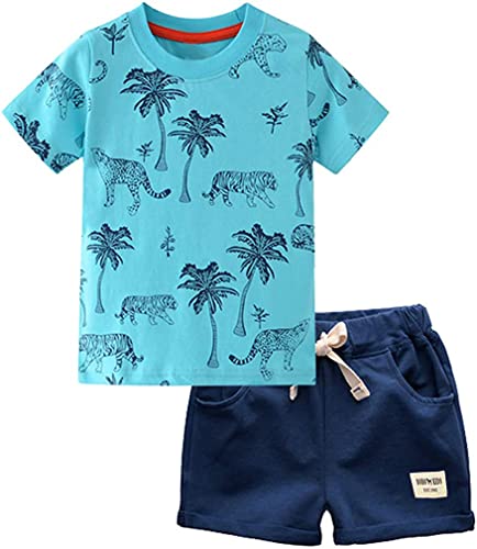 Image of Little Boys Shorts Set Toddler Boys 100% Cotton Summer Short Sleeve T-Shirts and Shorts Clothing Sets 2PCS