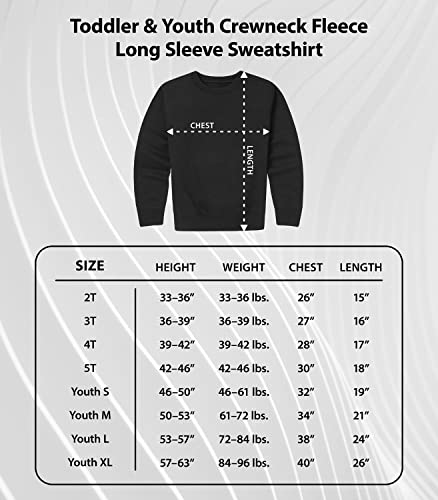 HYBRID APPAREL - Peanuts - Snoopy & Woodstock House Sleigh - Toddler And Youth Crewneck Fleece Sweatshirt4