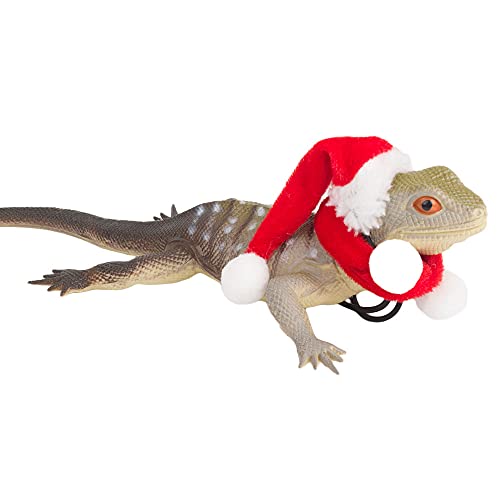 ADOGGYGO Bearded Dragon Halloween Hat Cloak Lizard Christmas Hat Scarf Set, Small Animal Halloween Christmas Festival… - Image 6