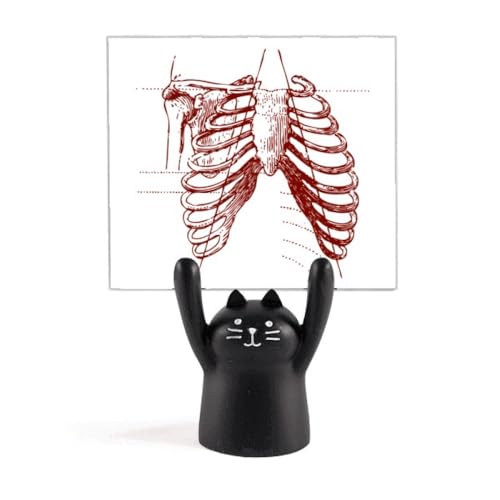 Support de mémo squelette humain chat noir, cadeau original d'Halloween