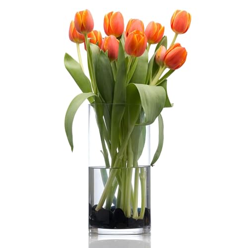 LanQii ԕr Ȃ  PET AN  Vv i 傫 ~^ CeA Ԋ ͔|  } ԗpArOAQAItBXȂǂ̑ɓKĂ܂ ia10cm 25cm j