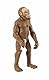 Safari SAF-381 Figuren-Set: Die menschliche Evolution