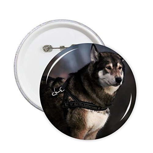 Cadeau chien Husky DIYthinker insigne rond multicolore à offrir aux passionnés d'animaux