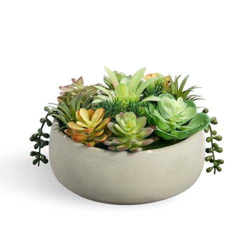 yel canby 8inch Artificial Succulent Plants in Pots,Large Fake Succulents with Creamy White Ceramic Pot for Home Office Desk Bathroom Coffee Table Decor