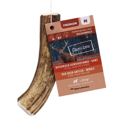 Chewies Kaugeweih für Hunde - ganze Stange - Abwurfstange vom Rothirsch - Hirschgeweih - natürlich unf mineralstoffreich, Größe M, 1 Stück (1er Pack)