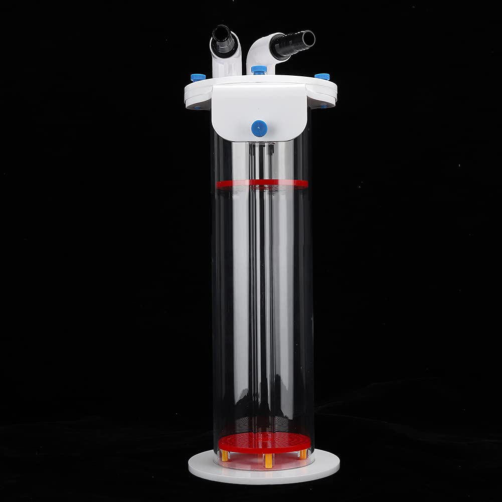 Alomejor Filtre Professionnel en Acrylique pour Aquarium NP Bio Bean, pour Une Filtration Efficace, adapté aux Amateurs D'aquarium