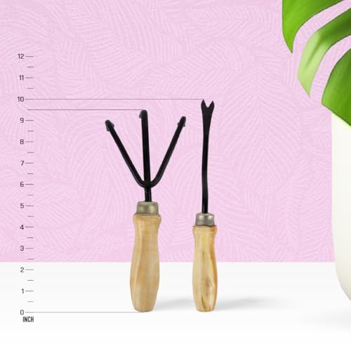 Image of Gardening Hand Tool Kit for Gardening- 2 Pcs (Cultivator, Hand Weeder | Gardening Tools for Home Garden | Durable Home Garden Tool Kit for Soil