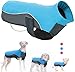 Didog Reflective Dog Winter Coat Sport Vest Jackets Snowsuit Apparel - 8 for Small Medium Large Dogs,Blue,2XL Size