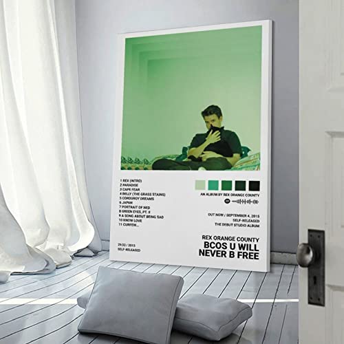 Poster Rex Orange County BCOS U WILL NEVER B FREE decoration murale toile