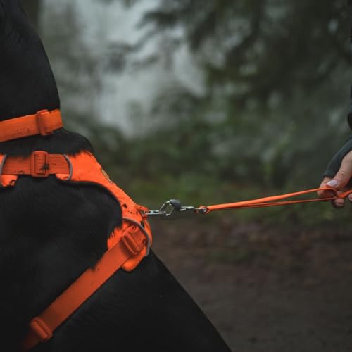 Ruffwear, Front Range Hundeleine, 1,5 m Lange Leine mit gepolstertem Griff für den täglichen Spaziergang, Blaze Orange