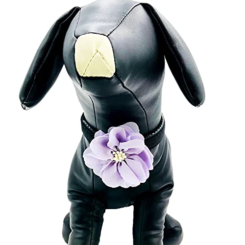 Jpgdn 20Pcs Dog Collar Flowers And Bows Charms Attachments Slides Bulk Accessory Girl For Small Medium Large Female Pet Doggy Puppy Cat Rabbit Grooming #TOP5