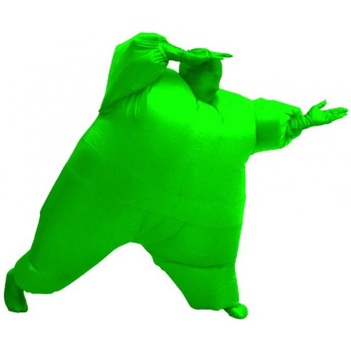 Costume Agent TV Store Inflatable Adult Chub Suit Costume (Green)