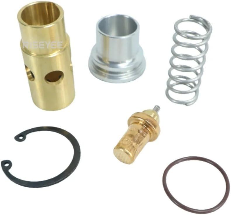 Temperature Control Valve Kit Compatible with FUSHENG 2605695750
