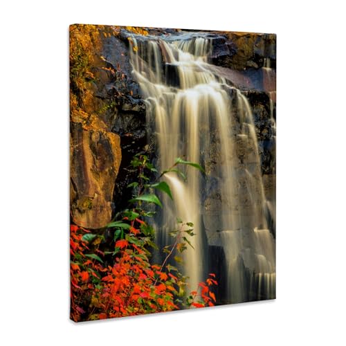 3dRose USA, West Virginia, Blackwater Falls State Park. Waterfall in autumn. Museum Grade Canvas...