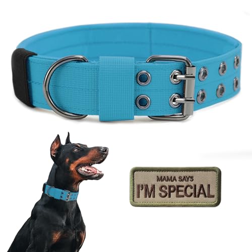 Military Nylon Dog Collar with Metal Buckle, Blue, L