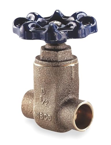 Gate Valve, Class 200, 3/4 In, 316 SS