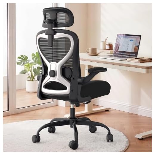 Home Office Desk Chairs, Ergonomic Office Chair with Lumbar Support & 3D Headrest, Computer Desk Chair with Flip-up Armrests, Perfect for Office or Study, Black/Silver