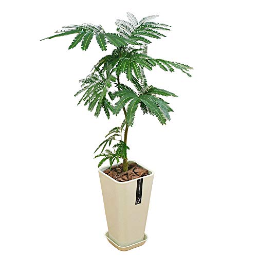 t[R[|[V Go[tbV ϗtA O[ J[XNGA|bg 6