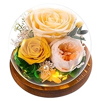 Touloube Geschenke für Frauen Rose, Ewige Infinity Rosen im Glas