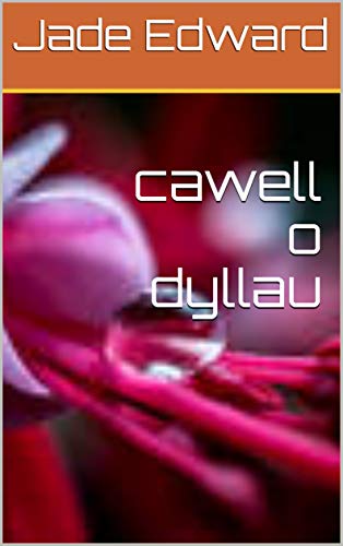 cawell o dyllau (Welsh Edition)
