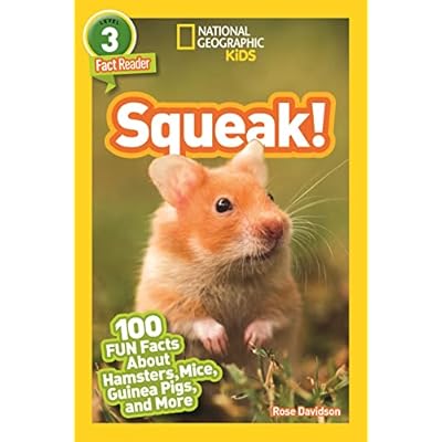 Squeak! (Level 3)