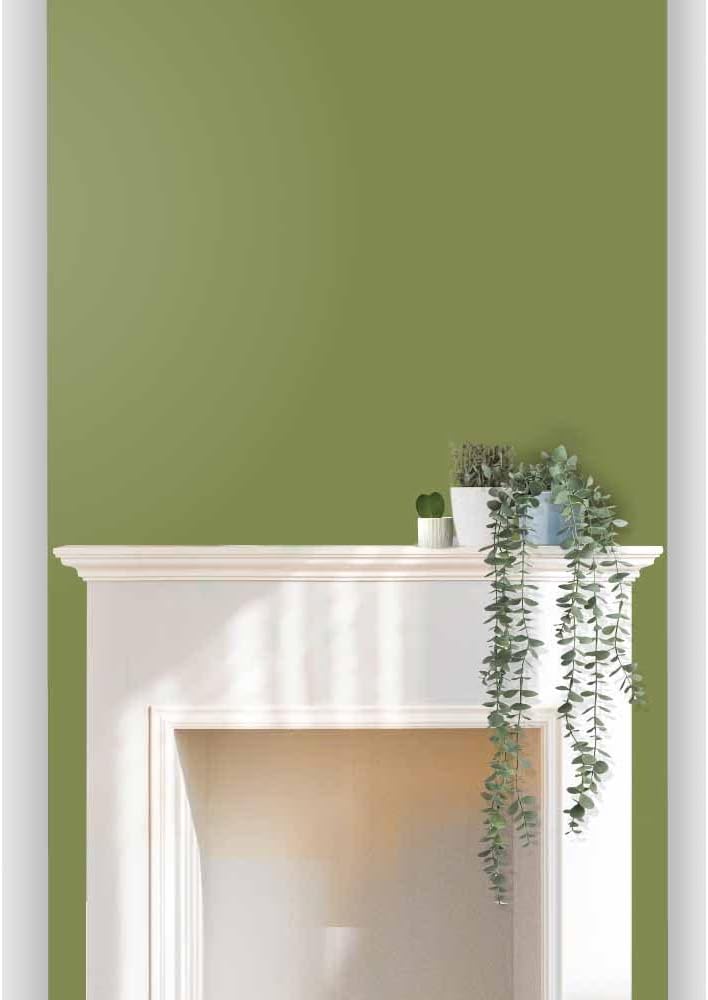 Buy wilko Statement Walls Urban Jungle Matt Emulsion Paint, Hardwearing