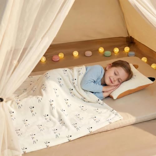 Image of 3-in-1 Cat Travel Blanket and Pillow Set for Kids