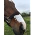 Flair Equine Nasal Strips Single Pack White
