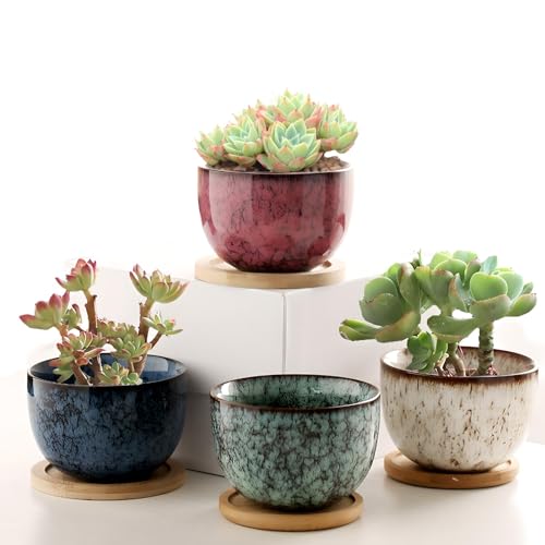 XUDREZ Ceramic Succulent Plant Pot Set of 4,Small Plant Pots Indoor with Tray,Mini Colourful Set Cactus Succulent Pots Home decorations Décor Style Three