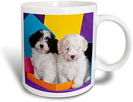 3dRose 142961_2 Mug, 15 oz, Ceramic