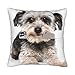 HABXNJF Urocza poszewka na poduszkę Yorkshire Terrier 45 x 45 cm, kwadratowe poszewki na poduszki do salonu na sofę do sypialni
