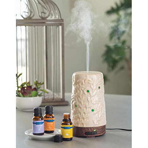 Airome Flourish Medium Ceramic Essential Oil Diffuser|100 Ml Humidifying Ultrasonic Aromatherapy Diffuser 8 Colorful Led Lights, Intermittent & Continual Mist, Auto Shut-Off, Cream #TOP3
