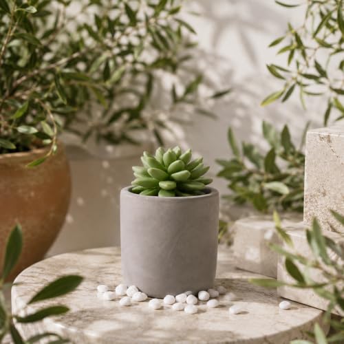 Difusor de Aroma Pretty Valley Home Succulent Gypsum Cerámico miniatura 3
