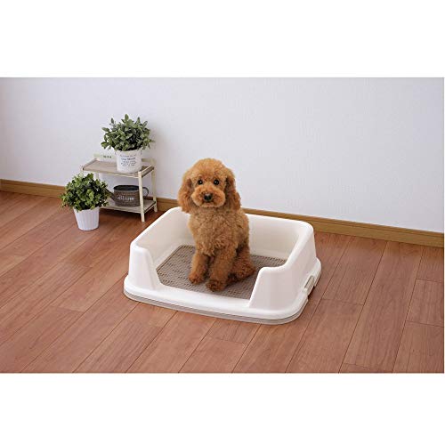 Iris Ohyama, Training pad holder / training tray with sides, no